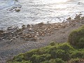 Carpinteria California 2010-02 0700